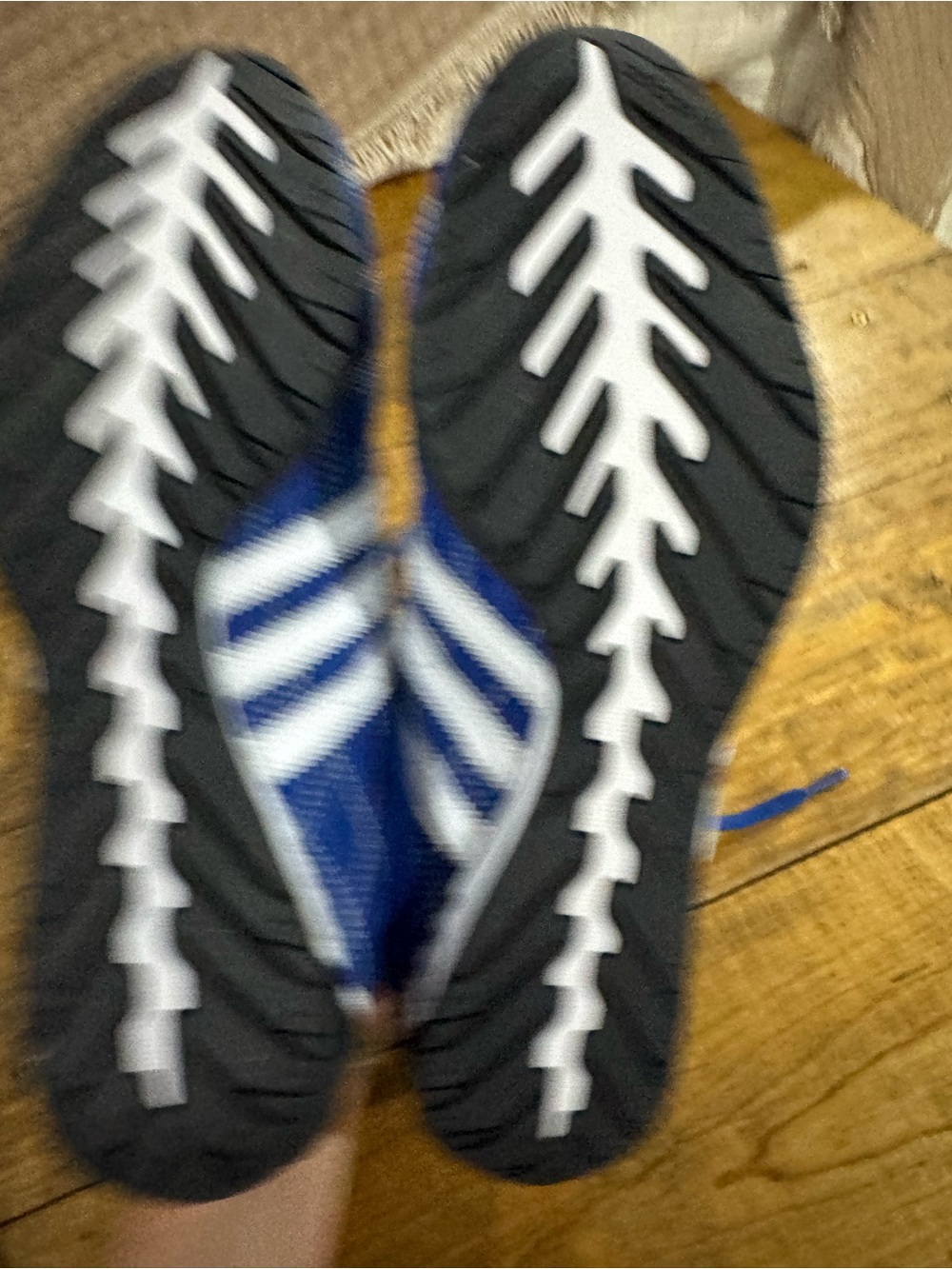 Adidas - Picture 5 of 5